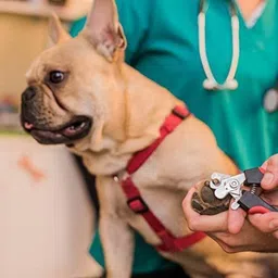 dogtrust Horse Grooming Kit image 3