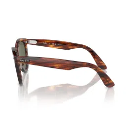 Ray-Ban Green Cat Eye Polarized Unisex Sunglasses image 5