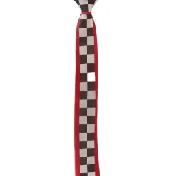 Alvaro Castagnino Paneled Red & Black Necktie image 4