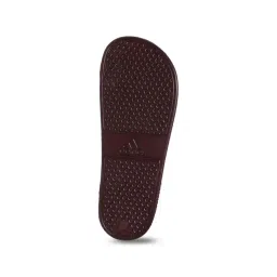 ADIDAS Men's AQUO SLIP ON M Burgundy Slides image 3