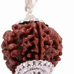 beautum Natural 5 Mukhi Rudraksha Five Faced Rudraksha Metal Cap Wood Pendant-picture-22