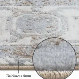 OBSESSIONS Beige Ethnic Polyester Machine Made Carpet 4x6 Feet image 3