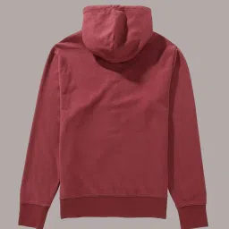 American Eagle Red Regular Fit Logo Printed Hooded Sweatshirt image 5