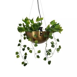 Fos Lighting Planter Bowl Hanging Pendant Light in Antique Brass Finish - PlanterBowl-Antq-HL1-picture-36