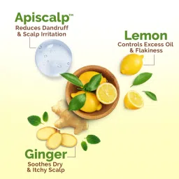 Mamaearth Lemon Anti-Dandruff Hair Oil image 3