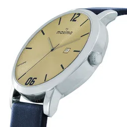 maxima Men Dial & Leather Straps Analogue Watch 67041LMGI image 2