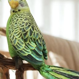Tickles Cute Parrot Soft Stuffed Plush Bird Toy for Kids Boys & Girls Birthday Gifts (Size: Length 20 cm, Color: Green)-picture-35