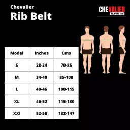 Chevalier Large Size Rib Support Belt CHE-Rib-Belt-L-Grey-101 image 5