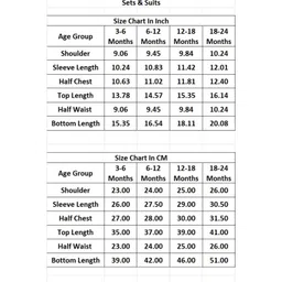 BUMZEE Cotton Full Sleeves Tiger Printed Coordinating Sweatshirt & Joggers Set - Sky Blue image 2