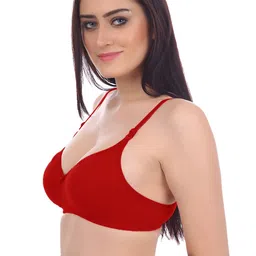 Samvar Multi Cotton Non-Wired Non Padded Minimizer Bra image 5