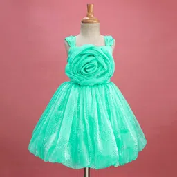Bluebell Tissue Woven Sleeveless Party Dress With Floral Applique - Mint Green-picture-18