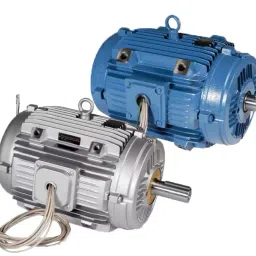 CG Power Single Phase 0.03 HP 2 Pole Foot Mounted Induction Motor GF4553 image 2