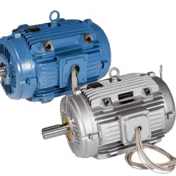 CG Power Single Phase 0.03 HP 2 Pole Foot Mounted Induction Motor GF4553 image 3