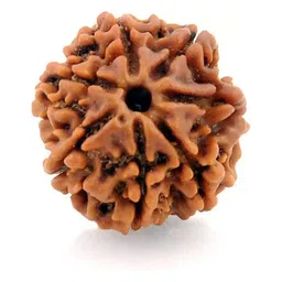 GenZcomplex Unisex Seven Mukhi Contemporary Rudraksha Pendant-image-17