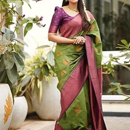 Munir Woven Design Zari Silk Blend Banarasi Saree-picture-14