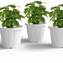 Nursery Pots Pack of 3 WHITE 8 inch Garden/ terrace beauty to grow small plants Plant Container Set-image-35