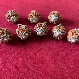 rudraksham 6 Mukhi Nepali Rudraksha Pendant With Certificate Of Authenticity (Set of 7) Silver Brass Locket Set-picture-38