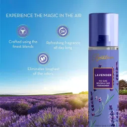 Signature Air Freshener Spray Lavender 250 ml Bottle liquid Form for Rooms, Cars & Bathrooms, FG000714 (Pack of 6 Pcs) image 2