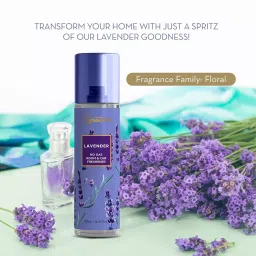 Signature Air Freshener Spray Lavender 250 ml Bottle liquid Form for Rooms, Cars & Bathrooms, FG000714 (Pack of 6 Pcs) image 3