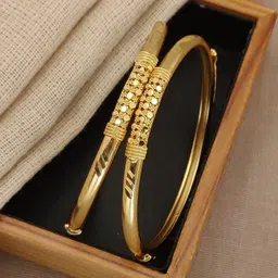 Lady Raiment Brass Gold-plated Bangle Set (Pack of 2) image 1