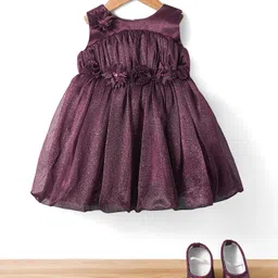 Bluebell Net Woven Sleeveless Party Dress With Floral Applique & Booties - Wine-image-56
