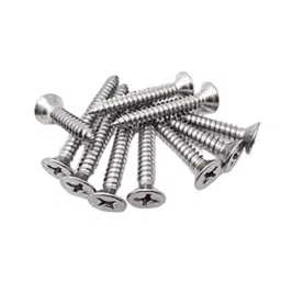 GENERIC 8x75 mm/3 inch Self Tapping Screws Silver (Pack of 50 Pcs)-picture-25
