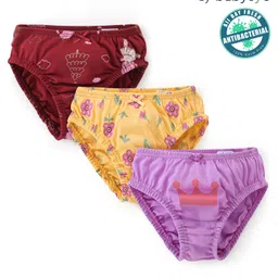 Babyoye Eco Conscious Cotton Knit Panties Floral Print Pack of 3 - Red Yellow and Pink-image-62