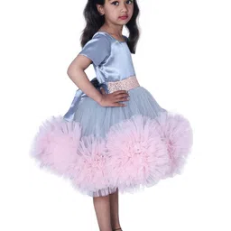 Wow Princess Net A-Line Dress image 2