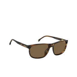 Carrera Men Brown Lens & Brown Rectangle Sunglasses with-picture-18
