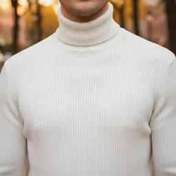 natris Men Solid High Neck White Sweater image 4