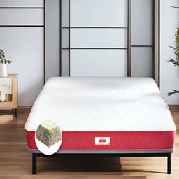 COIRFIT White & Maroon Quilted Cotton Orthopedic Queen Size Mattress-picture-34