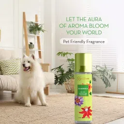 Signature Air Freshener Spray Gardenia 250 ml Bottle liquid Form for Rooms, Cars & Bathrooms, FG000711 (Pack of 3 Pcs) image 3