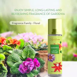 Signature Air Freshener Spray Gardenia 250 ml Bottle liquid Form for Rooms, Cars & Bathrooms, FG000711 (Pack of 3 Pcs) image 4