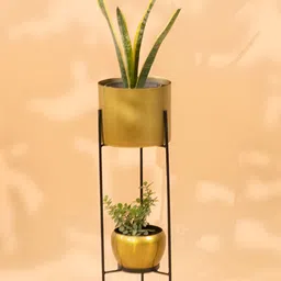 THREADVIBE LIVING Black & Yellow Gold Metal Round Two-Tier Plant Stand Pot-image-21