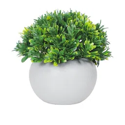Dekorly Green Plastic Artificial Flowers & Plants With Pot image 5