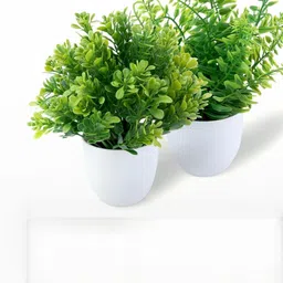 Dekorly Green Plastic Fern Artificial Flowers & Plants With Pot-picture-41