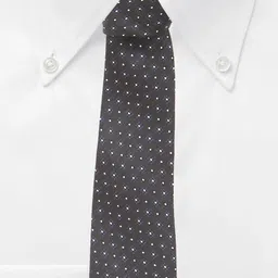 Cazzano Men Accessory Gift Set of Tie And Pocket Square image 4