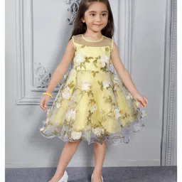 Ministitch Organza Woven Sleeveless Floral Applique Detailed Dress - Yellow-picture-28
