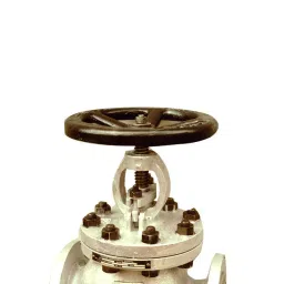 Leader CCS010A Cast Carbon Steel J Globe Valve 50 mm PN - 40 image 3