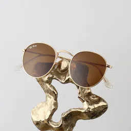 Ted Smith Unisex Brown Lens & Gold-Toned Round Sunglasses with-picture-30