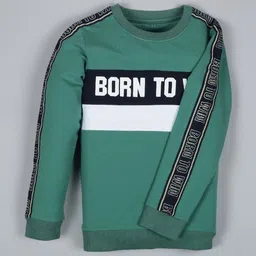 PLUM TREE Boys Colourblocked Sweatshirt image 4