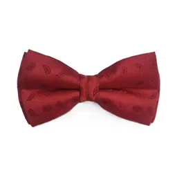 VOICI Men Woven Design Bow Tie-image-94