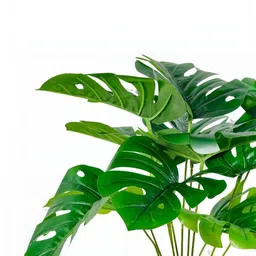 Dekorly Red Plastic Money Plant Artificial Flowers & Plants With Pot image 2