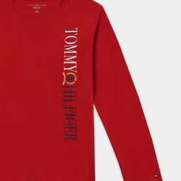 Tommy Hilfiger Boys Tshirts image 4