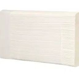 Biogreen 20x21cm 35 GSM 125 Sheets M Fold Paper Towel-picture-32