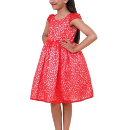 Wow Princess Lace A-Line Dress image 5