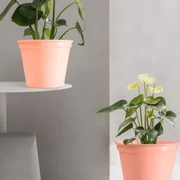 Decorcity 2Pcs Pink Metal Cylinder Planters-image-90