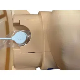 A-ONE SCIENCE PVC Prestan Professional Adult Series 2000 Manikin AOSBM300 image 2