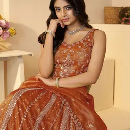 ODETTE Embroidered Organza Semi-Stitched Lehenga & Unstitched Blouse With Dupatta image 4