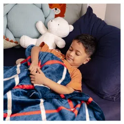 Haus & Kinder Grey Stripes 450 GSM Printed Reversible Flannel Single AC Room Blanket, Grey-picture-20